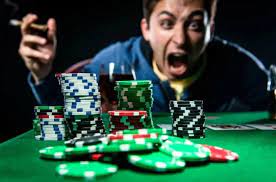 Vulkan 24 Casino